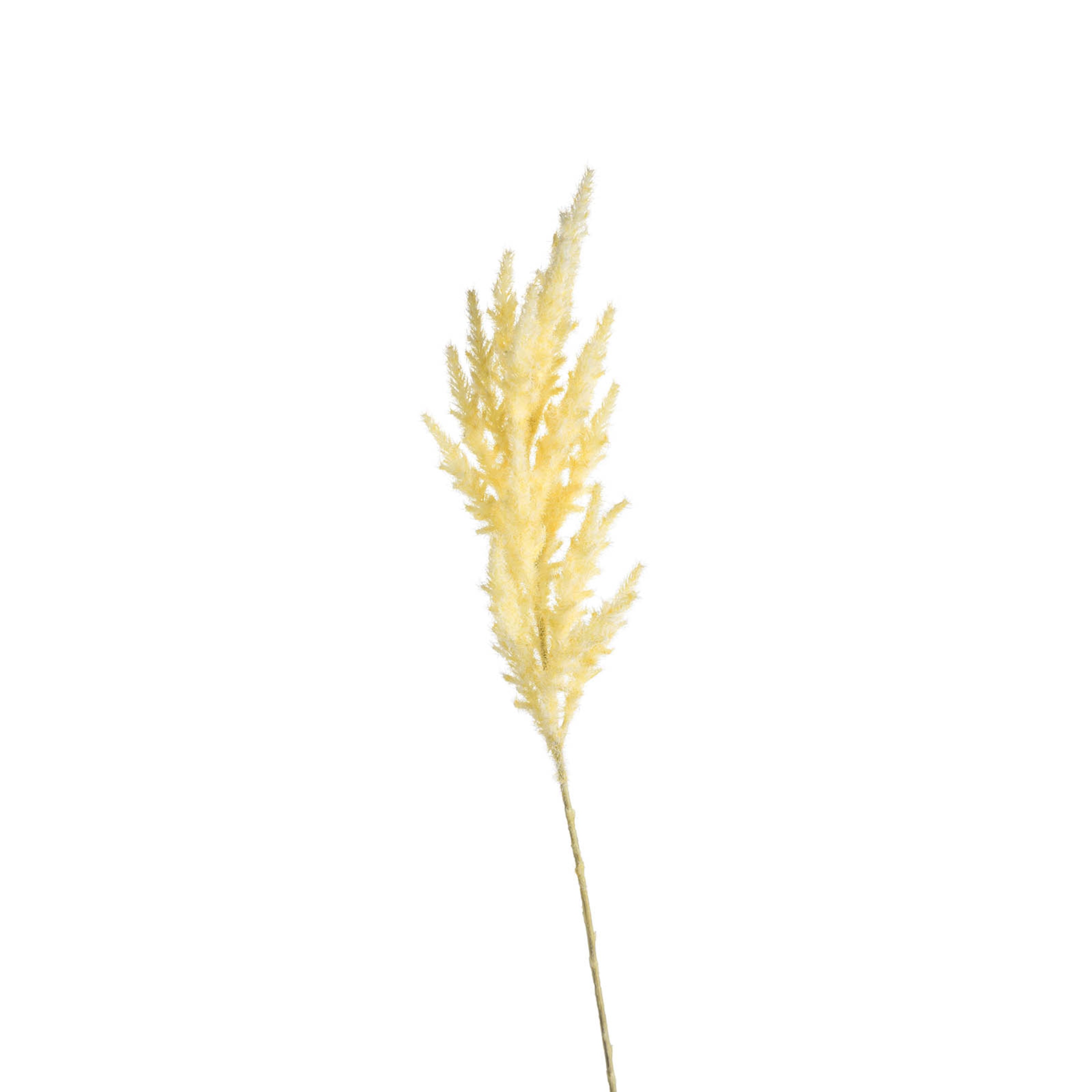 Achetez Fleur de tige artificielle herbe de la pampa en ligne | DÉPÔT