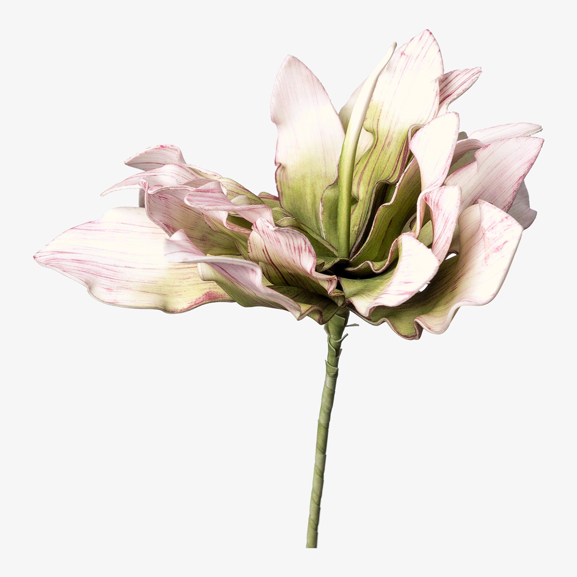Fleur artificielle Softflower Protea