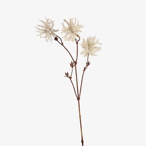 Umelý stonkový kvet Clematis