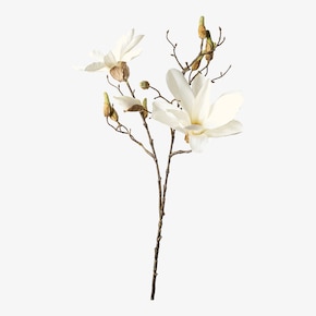 Magnolia met kunstmatige takken