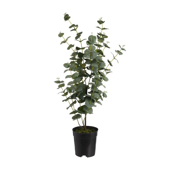 Kunstpflanze Eukalyptus im Topf, grün