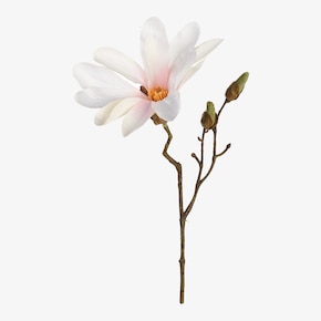 Kunsttak Magnolia
