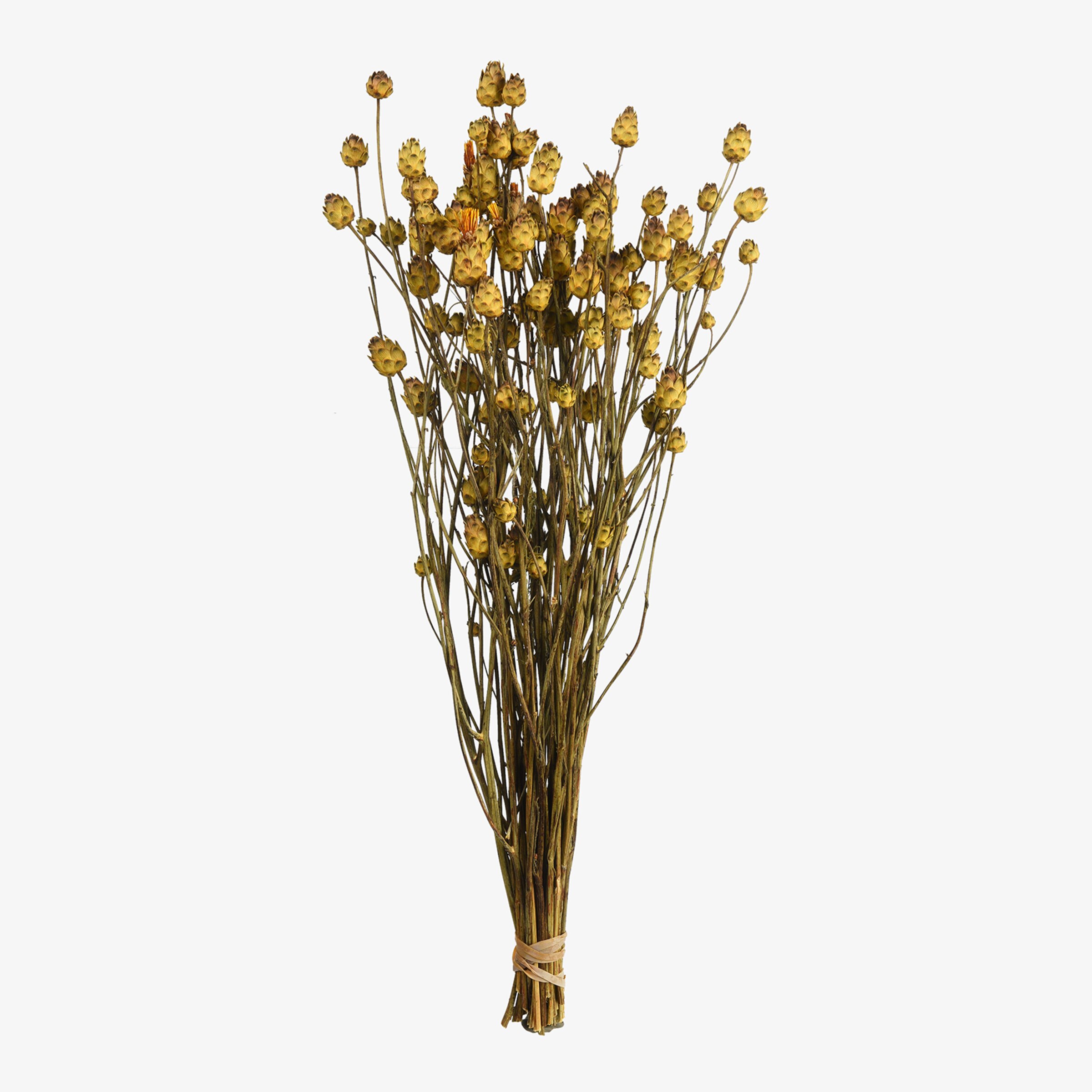 Bouquet de fleurs séchées tournesol