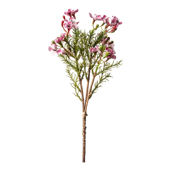 Kunstblume Wachsblumenbund, pink