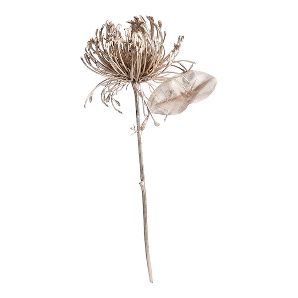Kunst-Stielblume Protea, champagne