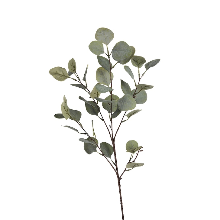 Kunstzweig Eukalyptus