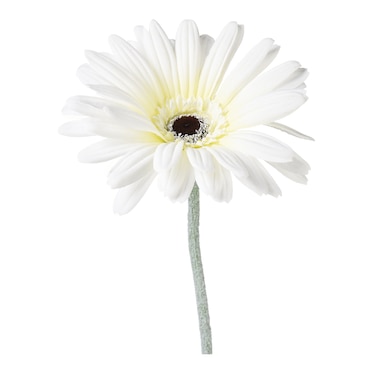 Kunstblume Gerbera