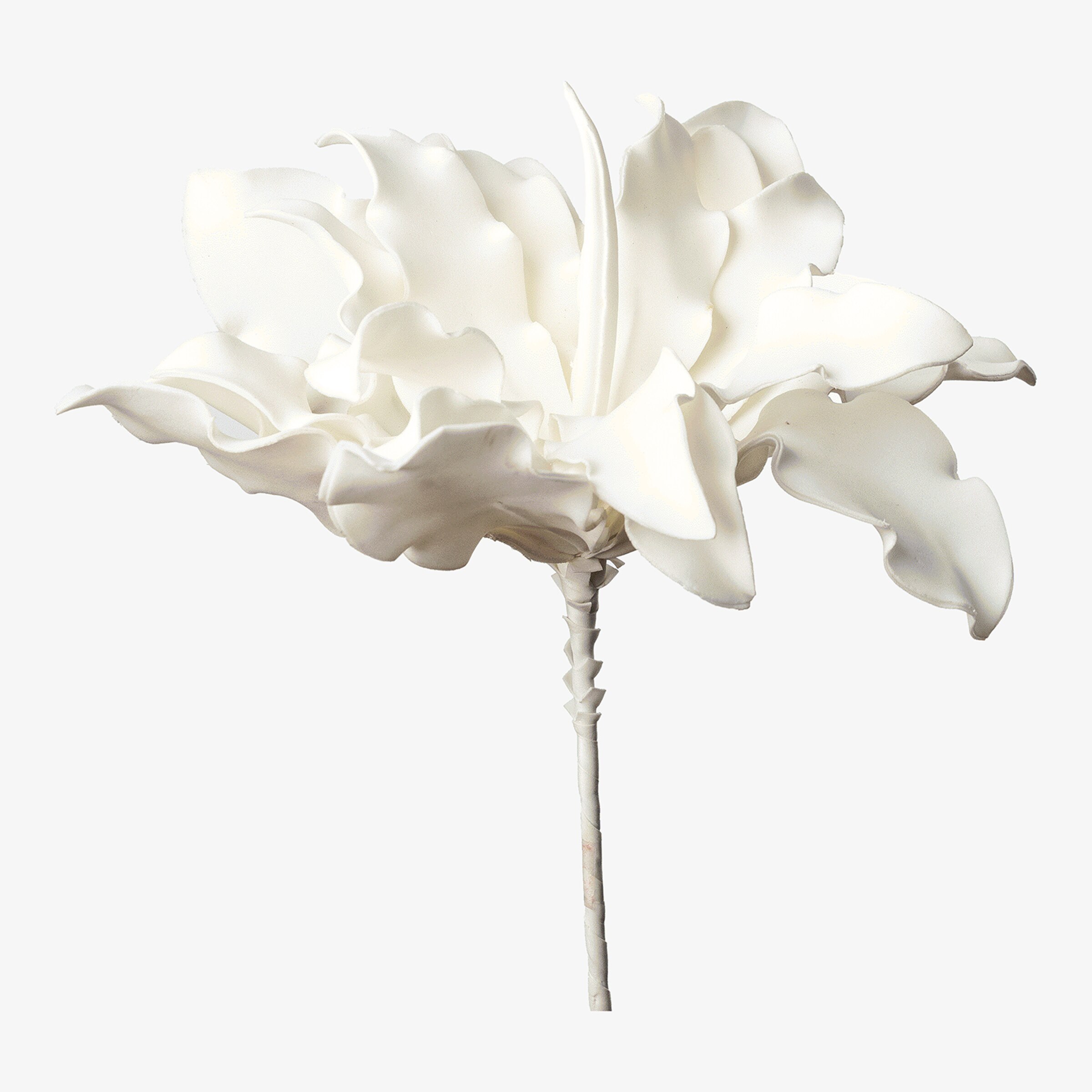Fleur artificielle Soft Flower Protea