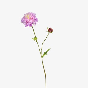 Umelý kvet Scabiosa