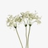Bouquet de fleurs artificielles Gypsophile blanc