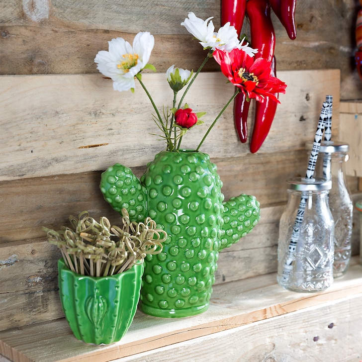 Mein immergrüner Kaktus #urbanjungle #kaktus #vase #