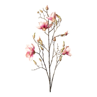 Umelecká pobočka Magnolia