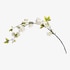 Branche artistique fleur de cerisier blanc