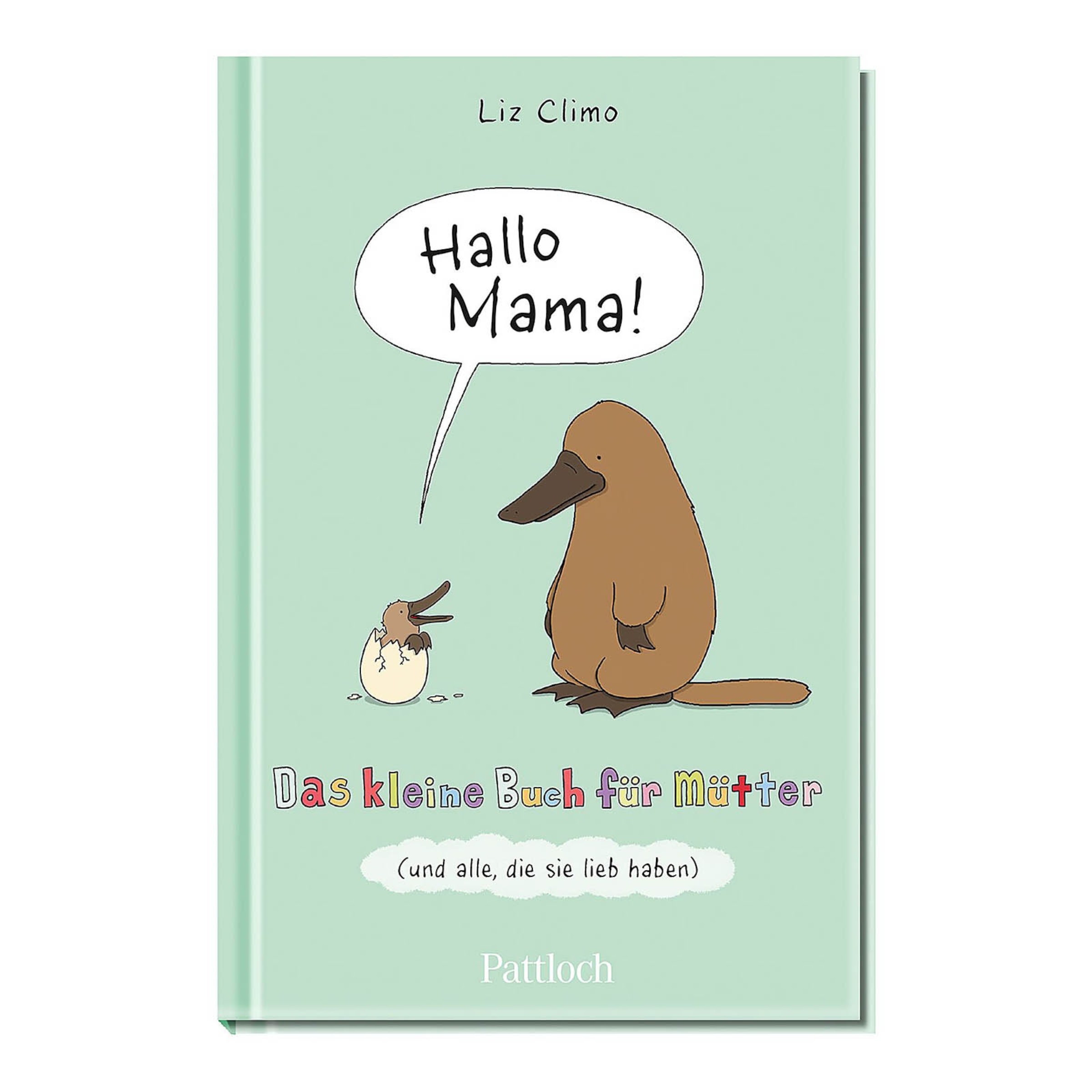 Achetez Livre Bonjour maman : le petit livre pour les mamans en ligne