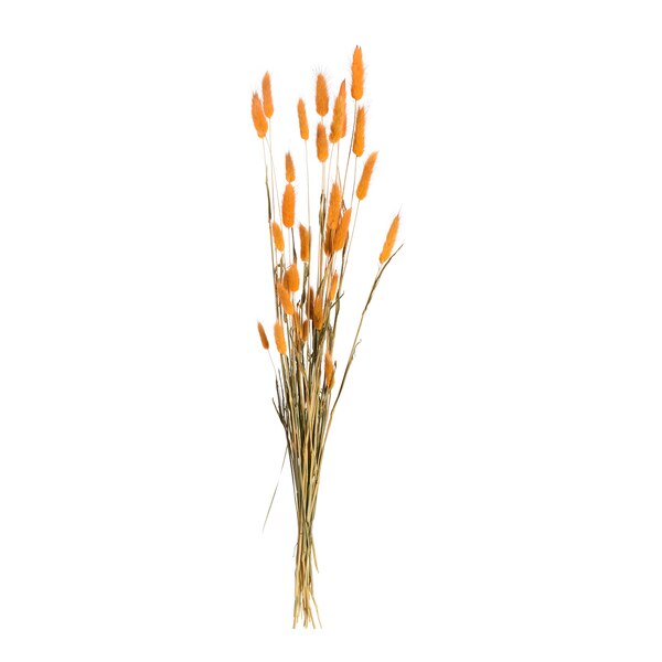 Trockenblumen-Bündel Samtgras, orange
