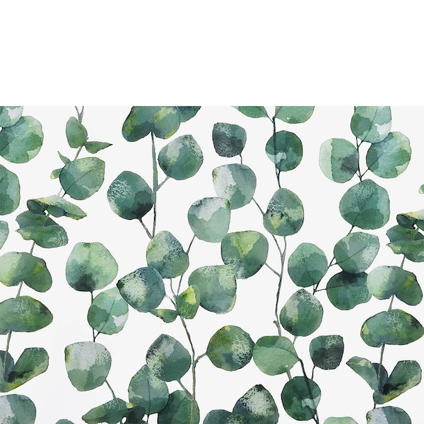Geschenkpapier Eukalyptus, grün