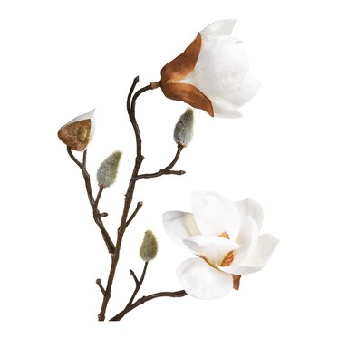 Kunstzweig Magnolie