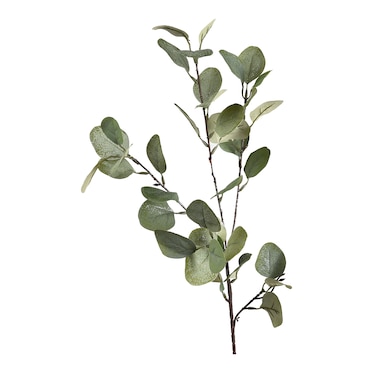 Branche d'eucalyptus artificielle