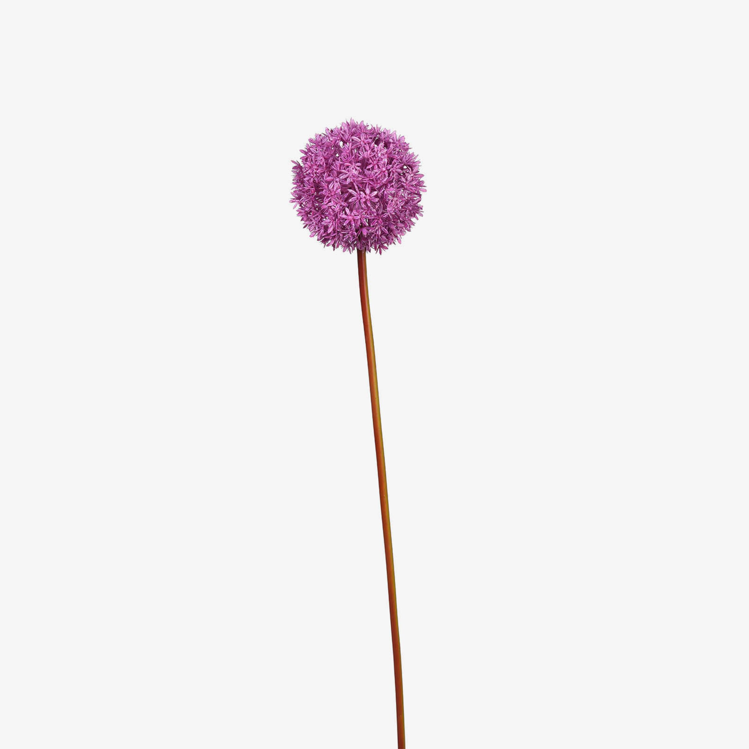 Kunst-Stielblume Allium