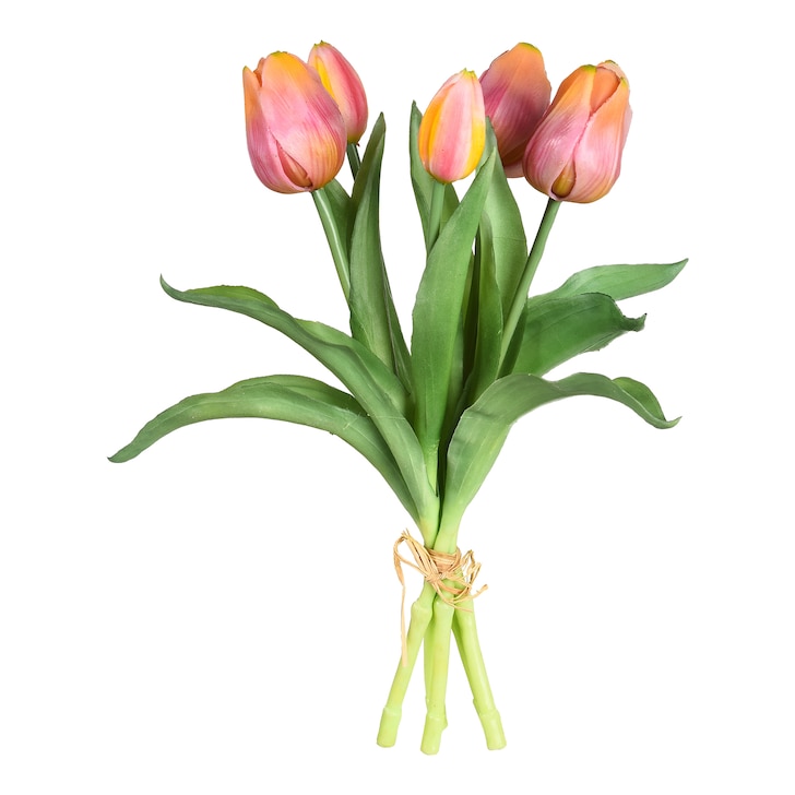 Kunst-Blumenbund Tulpen