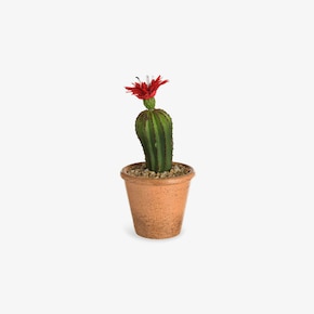 Umelý kaktus s kvetom v kvetináči