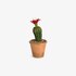 Kunstpflanze Kaktus mit Blüte im Topf rot