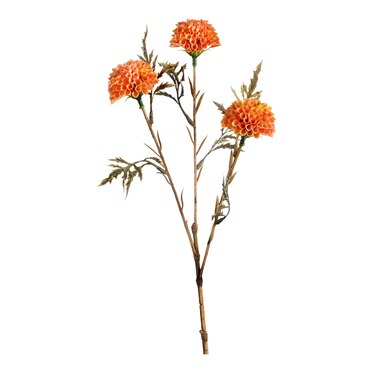 Kunstblume Scabiosa