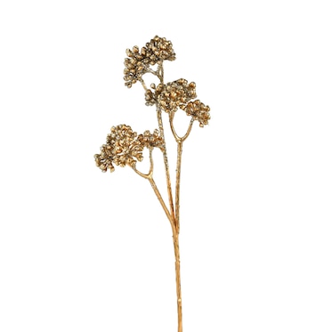 Umenie stonkový kvet brečtan bobule