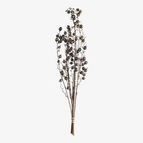 Trockenblumen-Bündel Beeren