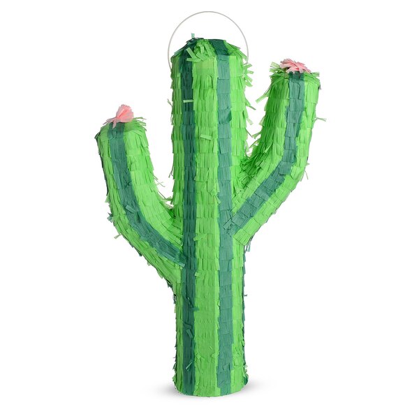 Pinata kaktus, zelená