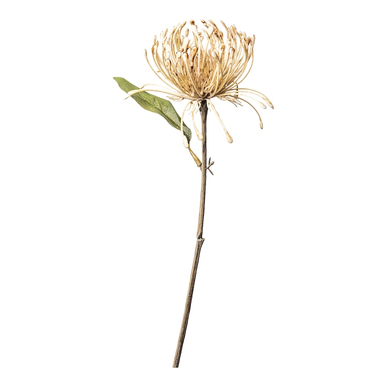 Kunst-Stielblume Protea