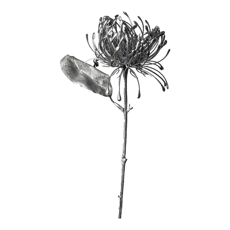 Kunstblume Protea