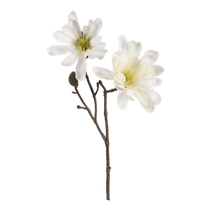 Kunst-Zweig Magnolia