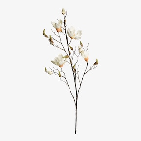Branche artistique magnolia doré