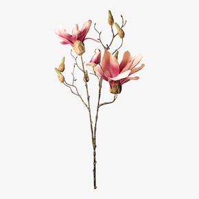 Magnolia met kunstmatige takken