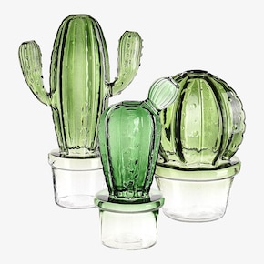 Vasen-Set Kaktus