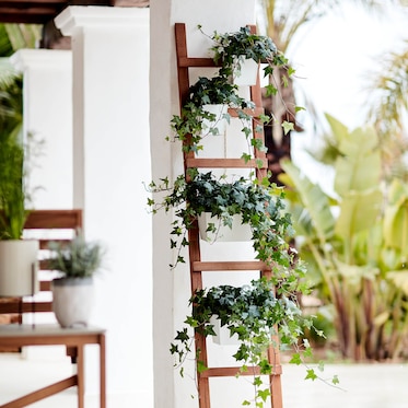 Rebrík na rastliny Amy, skladací