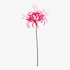 Kunstblume Spinnenlilie pink