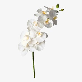 Kunst-Stielblume Orchidee Phalaenopsis