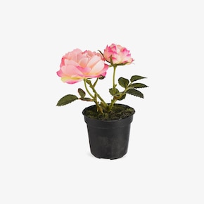Kunstpflanze Rose im Topf