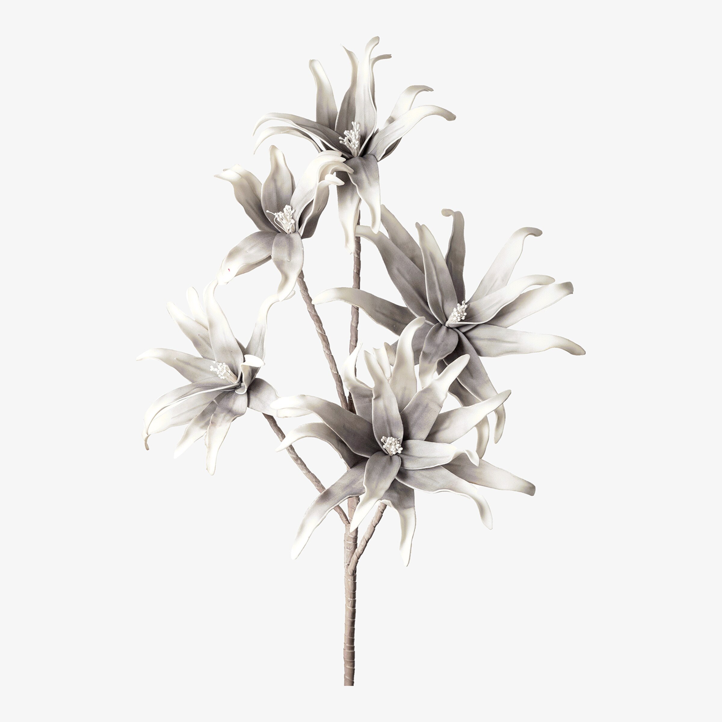 Softflower-Kunst-Stielblume Exotica