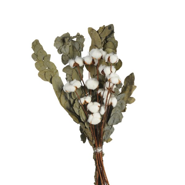 Trockenblumenstrauß Baumwolle, grün