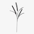 Umelá trstinová tráva Softflower čierna