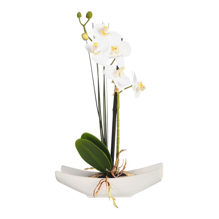 kaufen | Phalaenopsis Kunstblume Schale DEPOT in online Orchidee
