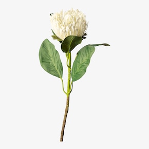 Kunstmatige stam bloem Protea