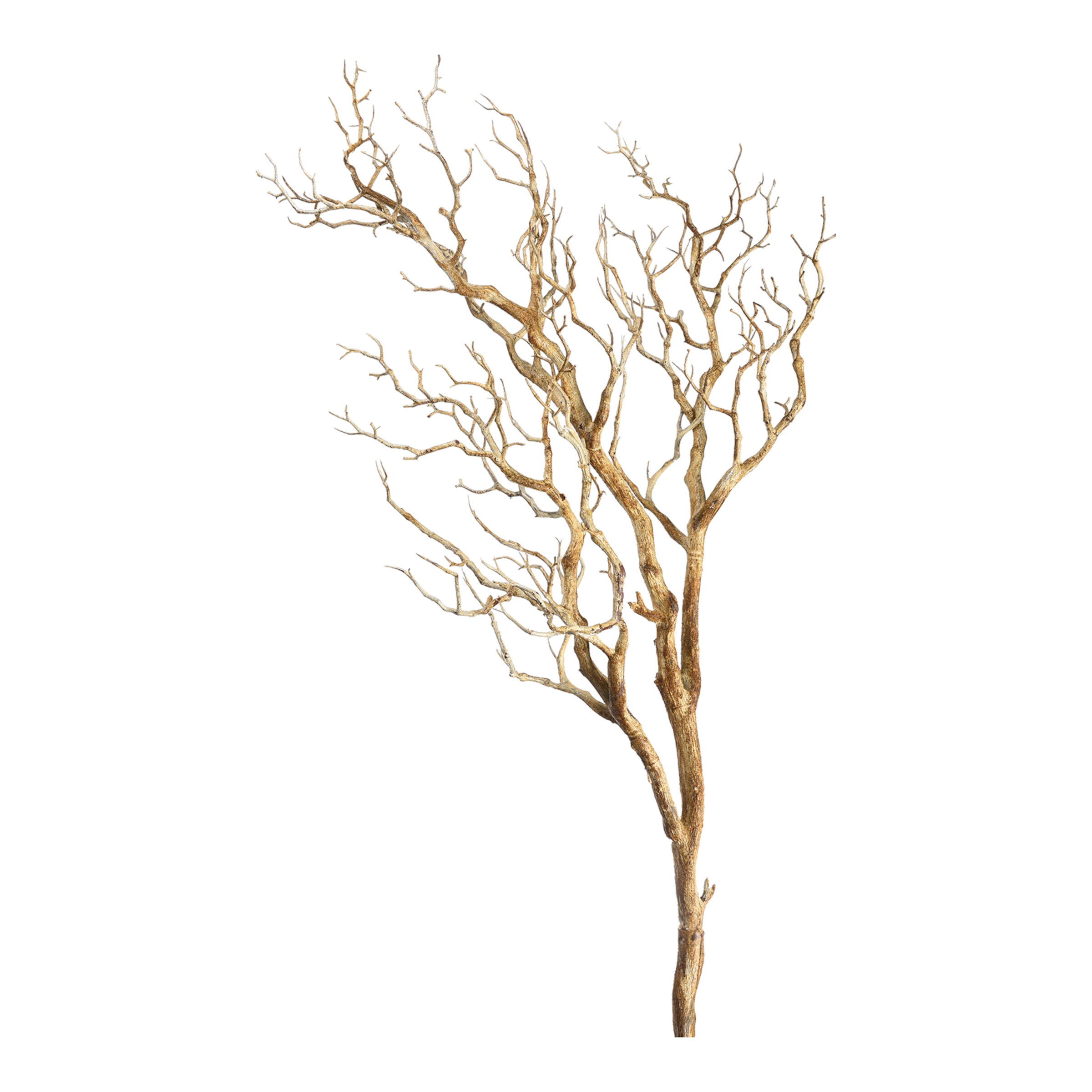 Branches en bois flotté 16 cm - 250 grammes - Décors nature - 10