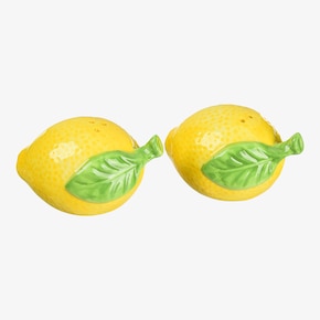 Set de salière et poivrière Citrus