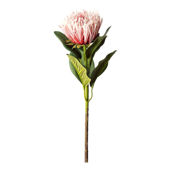Kunstblume Protea, altrosa