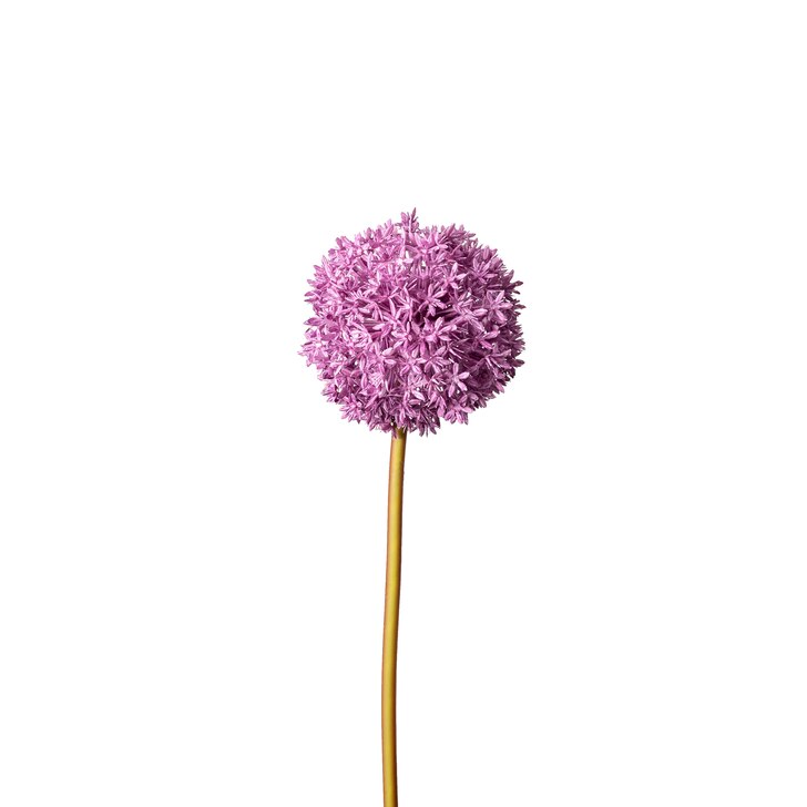 Kunstblume Allium online kaufen DEPOT 