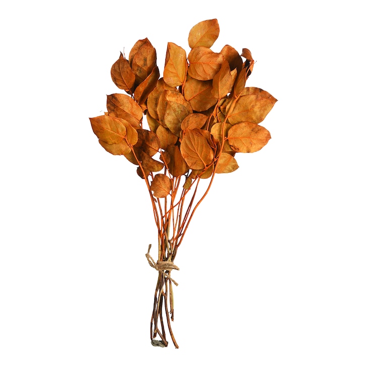Trockenblumen-Bündel Leaves